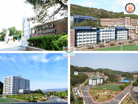 Đại Học Daeduk Hàn Quốc: Điều Kiện, Học Bổng, Học Phí