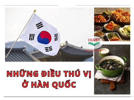 Những Điều Thú Vị Ở Hàn Quốc Mà Bạn Nên Khám Phá