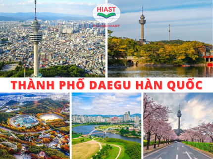 Thành Phố Daegu (대구) – Nơi Lý Tưởng Dành Cho Du Học Sinh