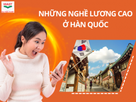 Top 10 Những Nghề Lương Cao Ở Hàn Quốc - Lương Cao Nhất Hiện Nay
