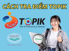 Hướng Dẫn Cách Tra Điểm Topik Nhanh Gọn, Chính Xác Nhất