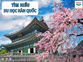 Du học Hàn Quốc 2026: Điều kiện, chi phí, các ngành