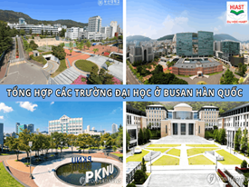[2026]Top 15 Các Trường Đại Học Ở Busan Hàn Quốc Hàng Đầu
